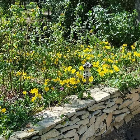 펜션 Mazet Authentique A Sur 2500 M2 Dans Un Ecrin De Verdure