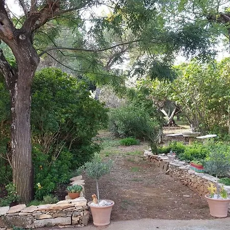 펜션 Mazet Authentique A Sur 2500 M2 Dans Un Ecrin De Verdure