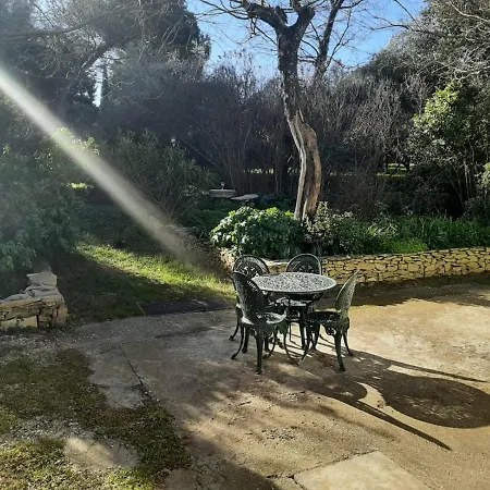 펜션 Mazet Authentique A Sur 2500 M2 Dans Un Ecrin De Verdure 님